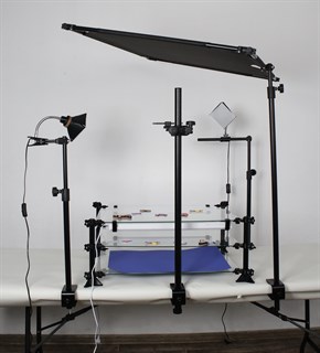 Мультстудия PROFESSIONAL P-ST